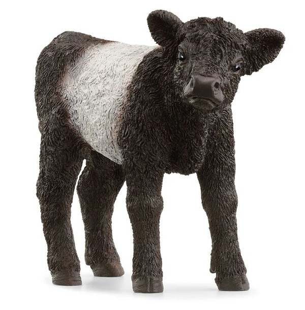 Schleich Galloway Calf 13969