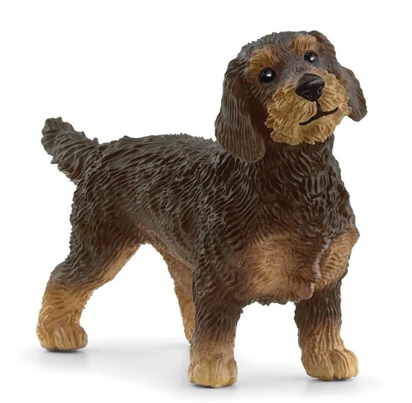 Schleich Wire Haired Dachshund Dog 13972