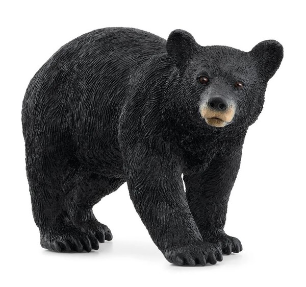 Schleich American Black Bear 14869