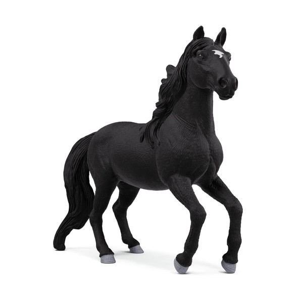 Schlech Lusitano Horse Stallion 14918