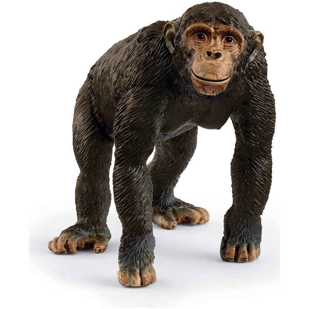 Schleich Chimpanzee 14883