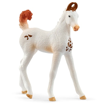 Schleich Marwari Foal