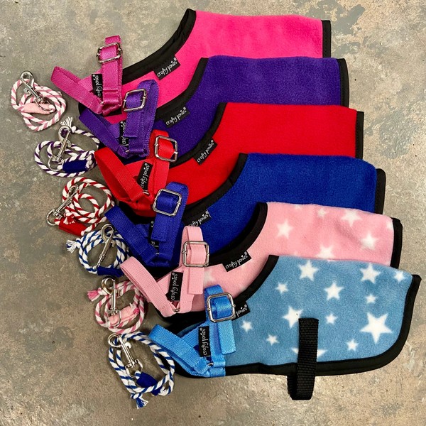 Crafty Ponies Foal Rug Set