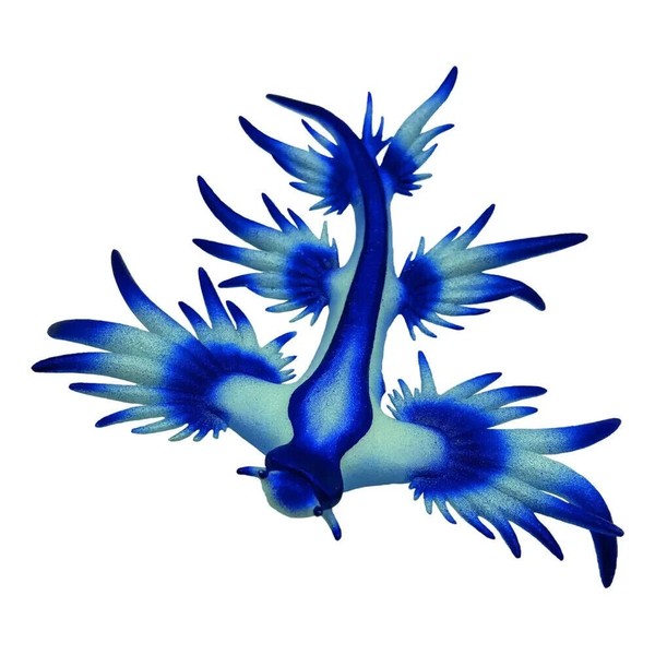 Bullyland Glaucus Atlanticus Blue Sea Slug