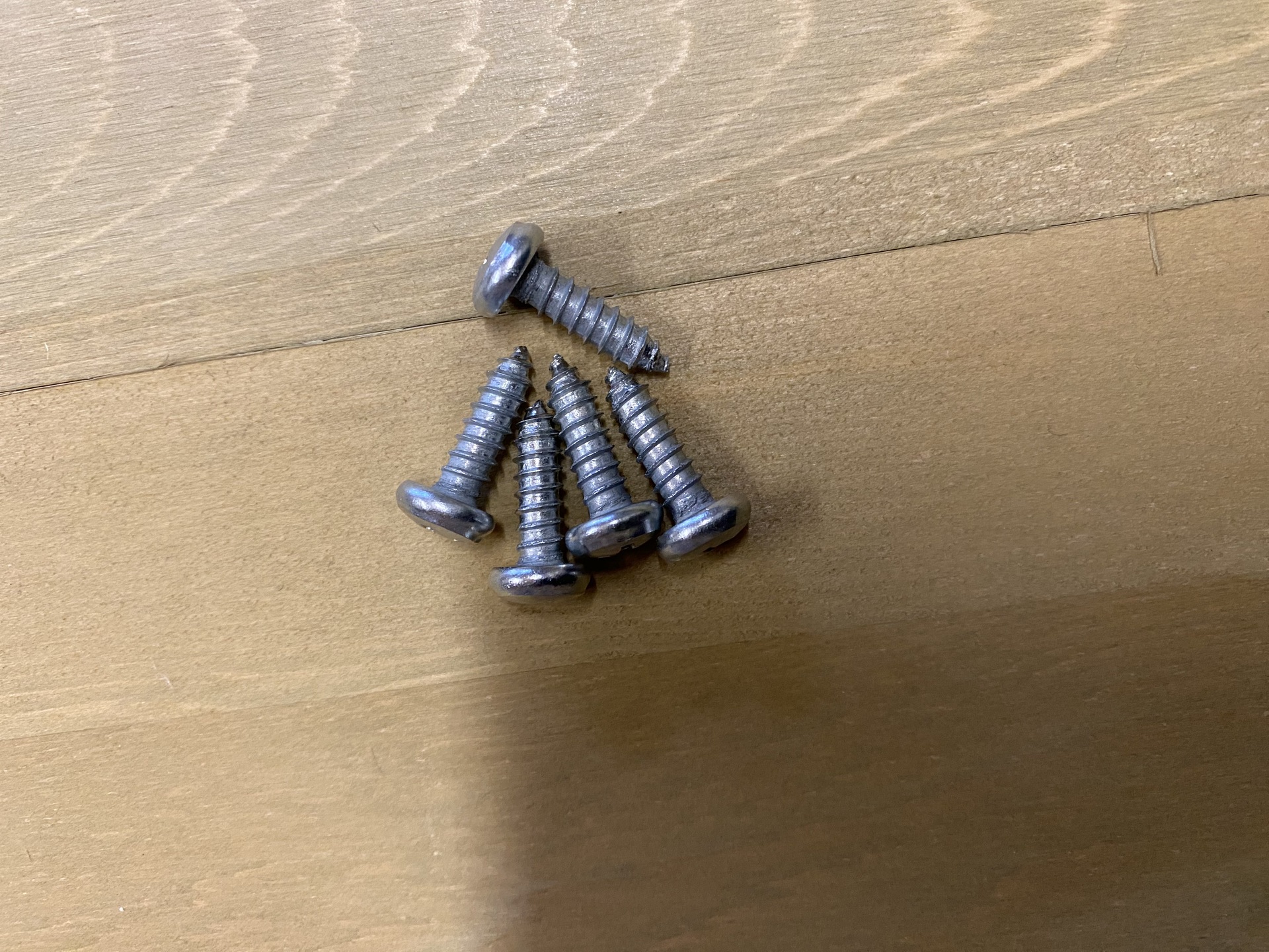 Screws x 5 Image