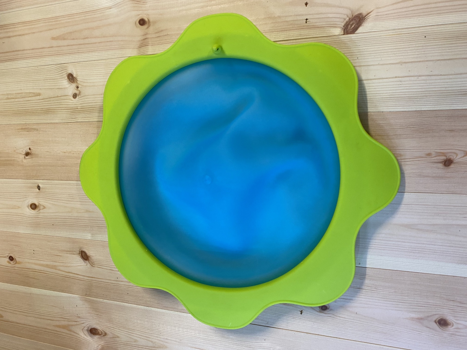 Top Disk Image