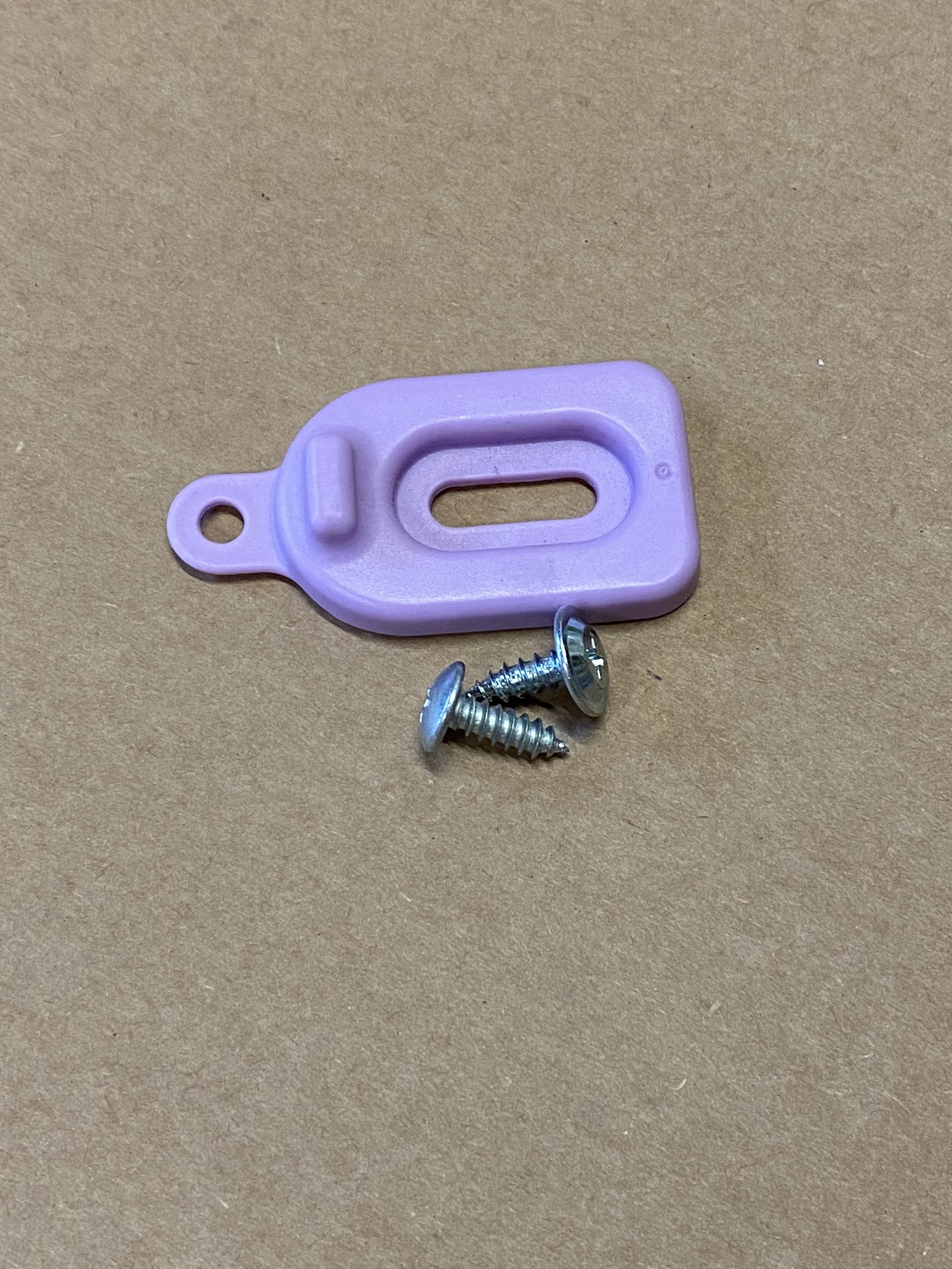 Door Latch and screws Image