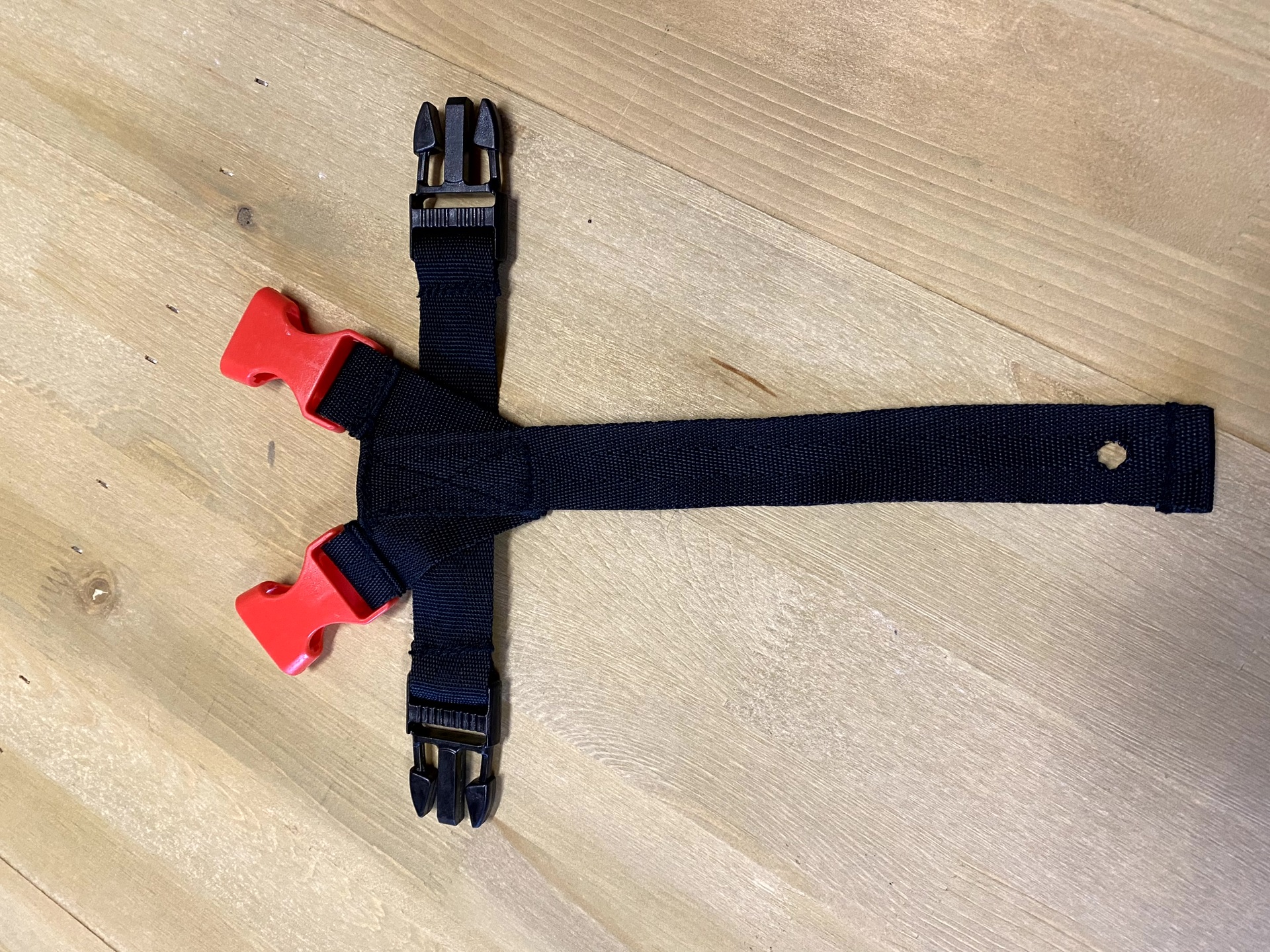 5 point harness Image