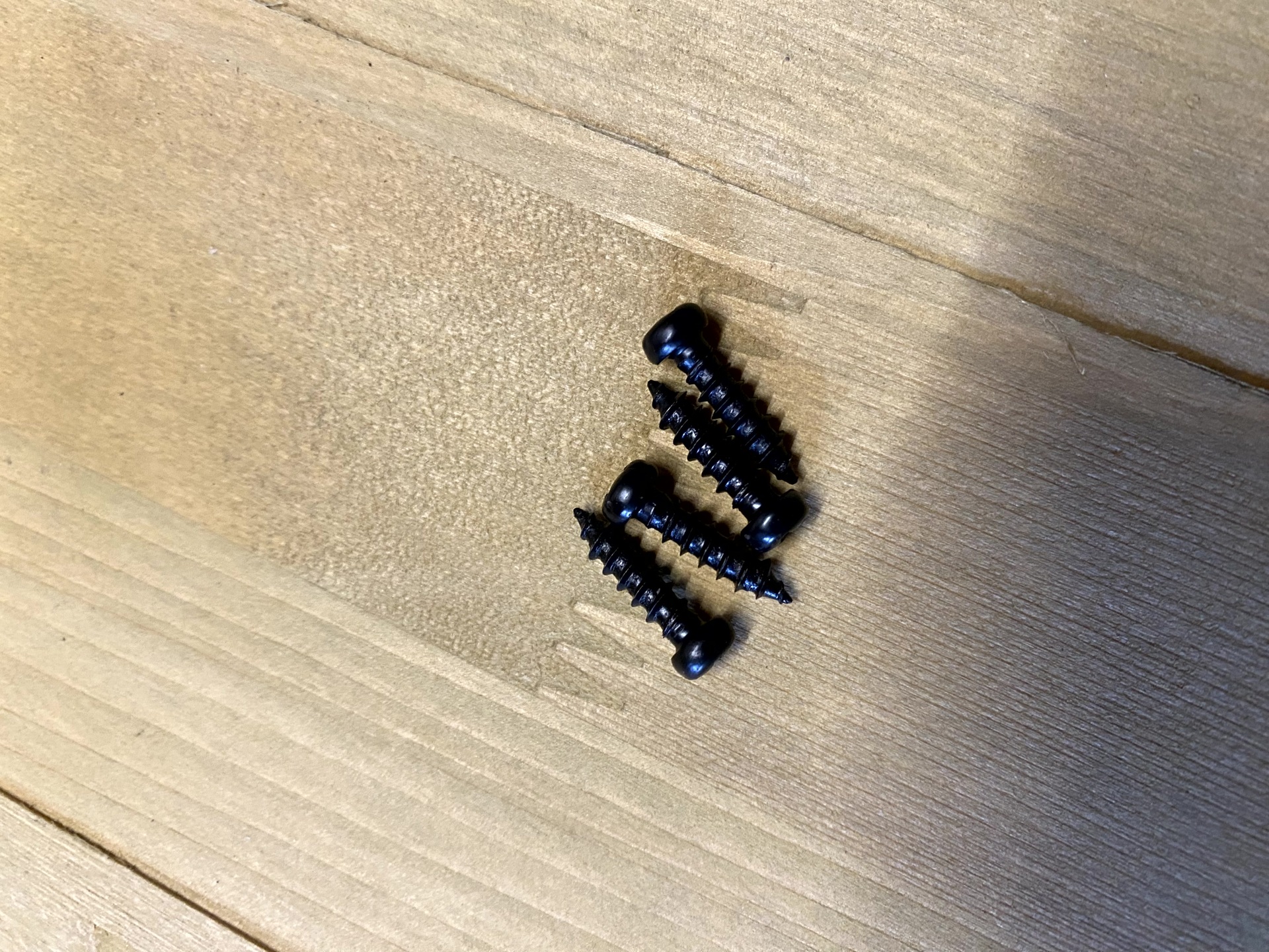 Screws M2 x 4  Image