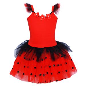 Pink Poppy Ladybug Fairy Dress with wings
