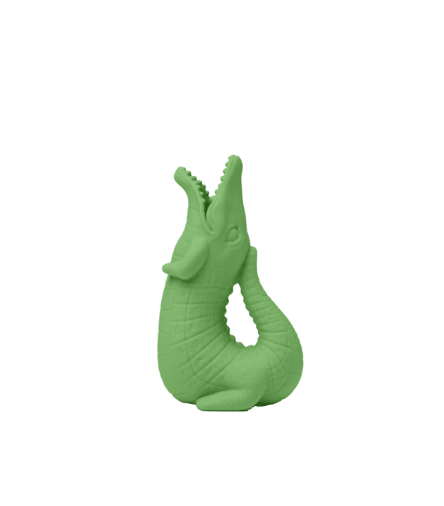 Scrunch Crocodile Water Pourer