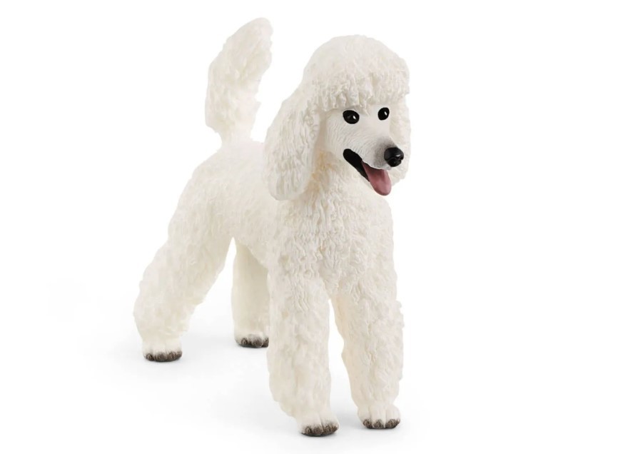 Schleich Poodle