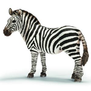 Schleich Zebra